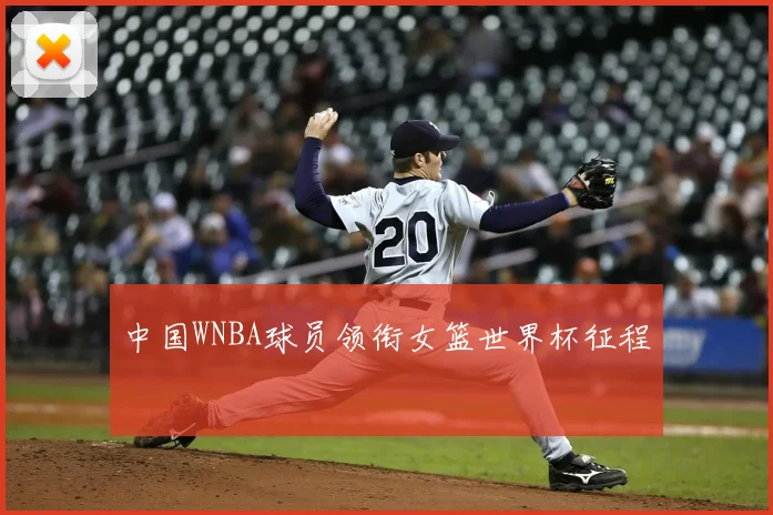 中国WNBA球员领衔女篮世界杯征程